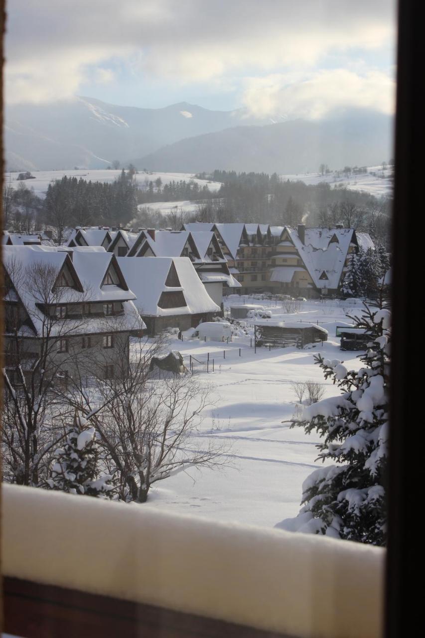 Willa Pod Zielonym Wierchem Zakopane Exterior foto