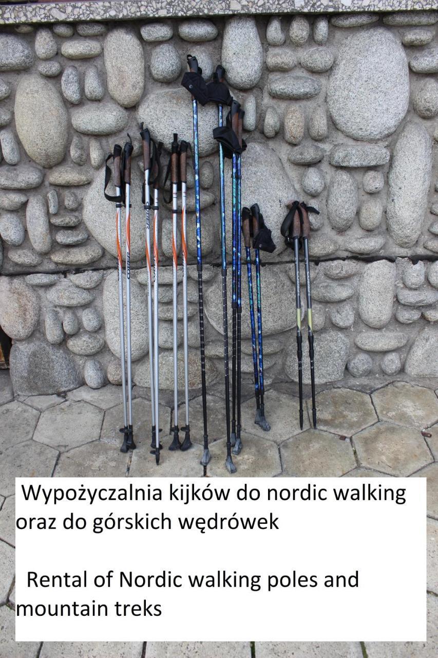 Willa Pod Zielonym Wierchem Zakopane Exterior foto